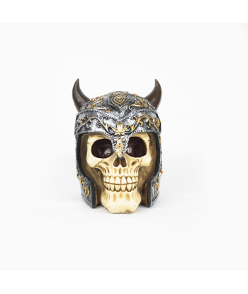 Calavera casco vikingo