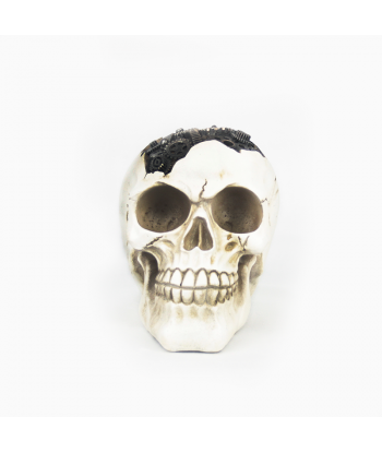 Calavera engranajes