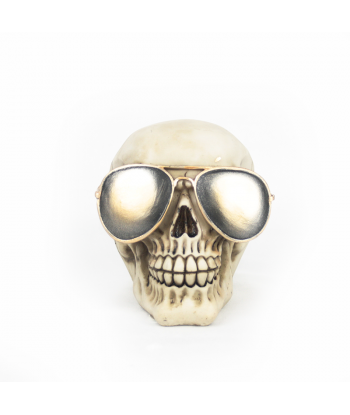 Calavera con gafas de sol