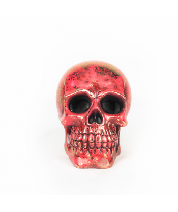 Hucha calavera de color