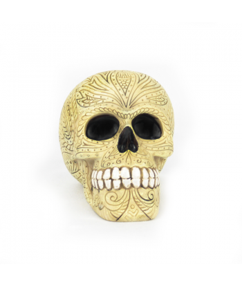 Hucha calavera labrada