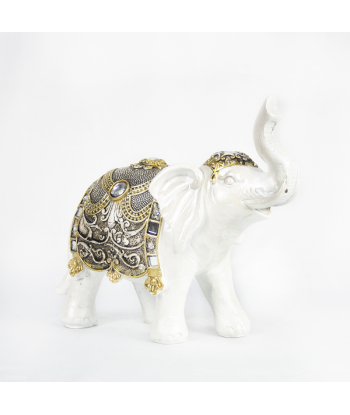 Elefante de la suerte...