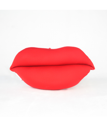 Cojín labios