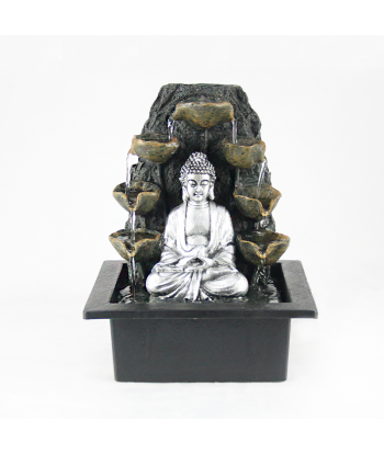 Fuente Buda